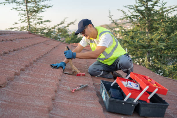 Best Roof Gutter Cleaning  in Lumberton, MS